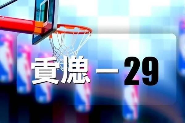 2003年nba录像,2003年nba有哪29支球队