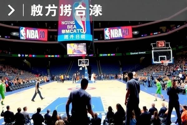 nba回放录像无广告,nba录像高清回放像无广告